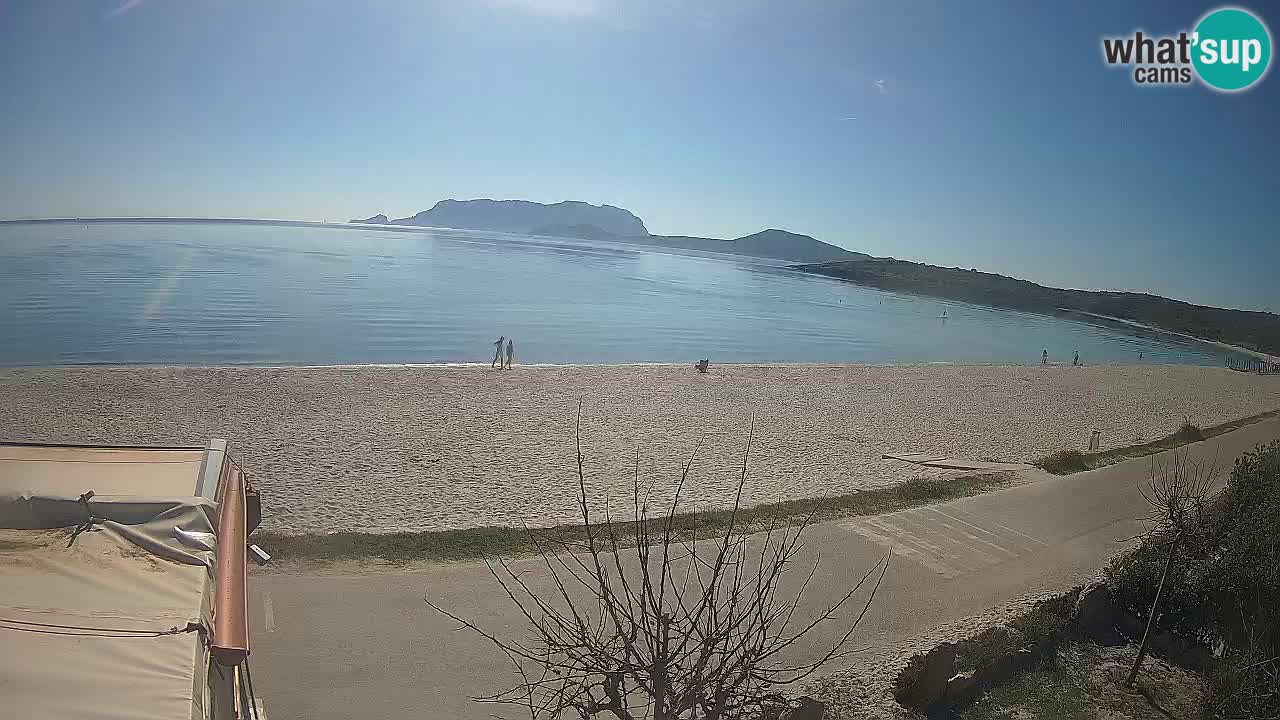 Der Strand von Pittulongu Live-Webcam Olbia – Sardinien – Italien