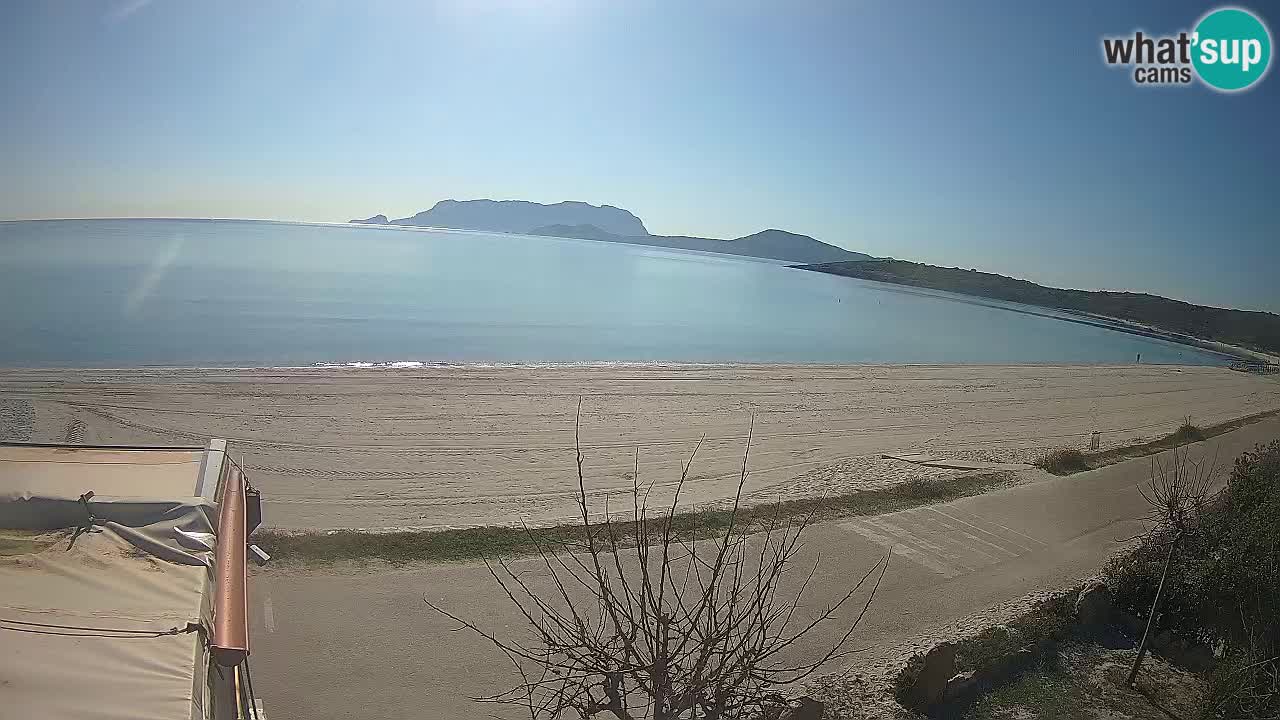 Der Strand von Pittulongu Live-Webcam Olbia – Sardinien – Italien
