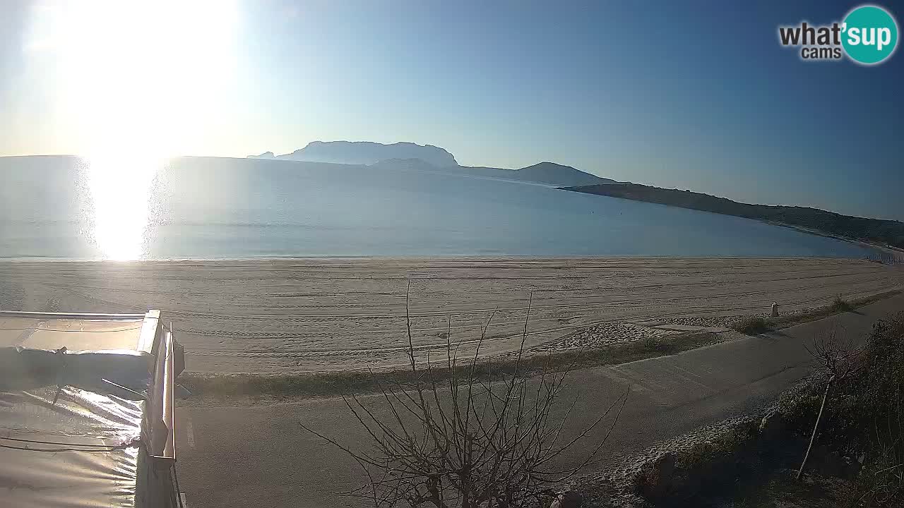 The beach of Pittulongu live webcam Olbia – Sardinia – Italy