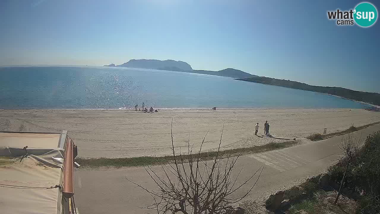 The beach of Pittulongu live webcam Olbia – Sardinia – Italy