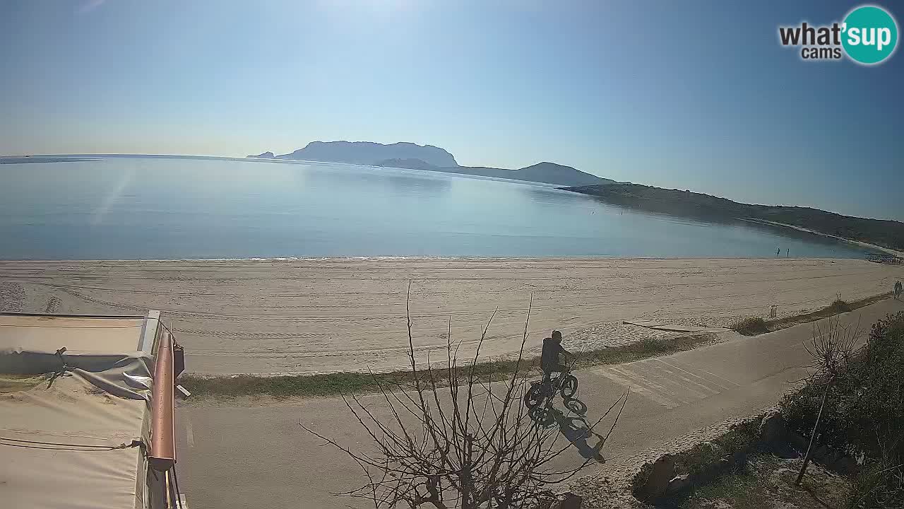 Der Strand von Pittulongu Live-Webcam Olbia – Sardinien – Italien