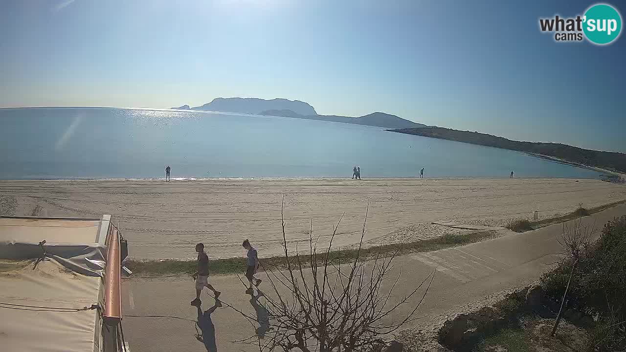 Plaža Pittulongu spletna kamera v živo Olbia – Sardinija – Italija