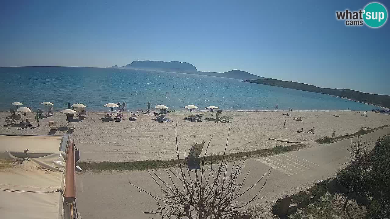 The beach of Pittulongu live webcam Olbia – Sardinia – Italy