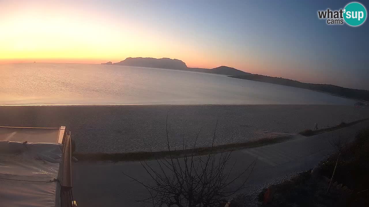 Plaža Pittulongu spletna kamera v živo Olbia – Sardinija – Italija