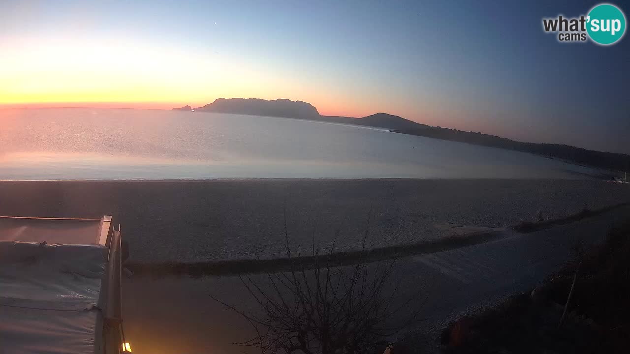 The beach of Pittulongu live webcam Olbia – Sardinia – Italy