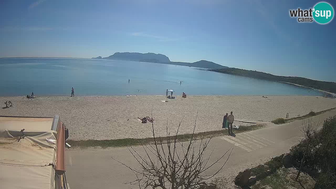 La plage de Pittulongu en direct webcam Olbia – Sardaigne – Italie