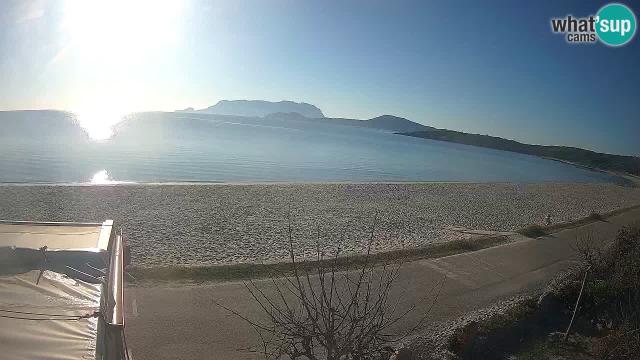 Plaža Pittulongu spletna kamera v živo Olbia – Sardinija – Italija