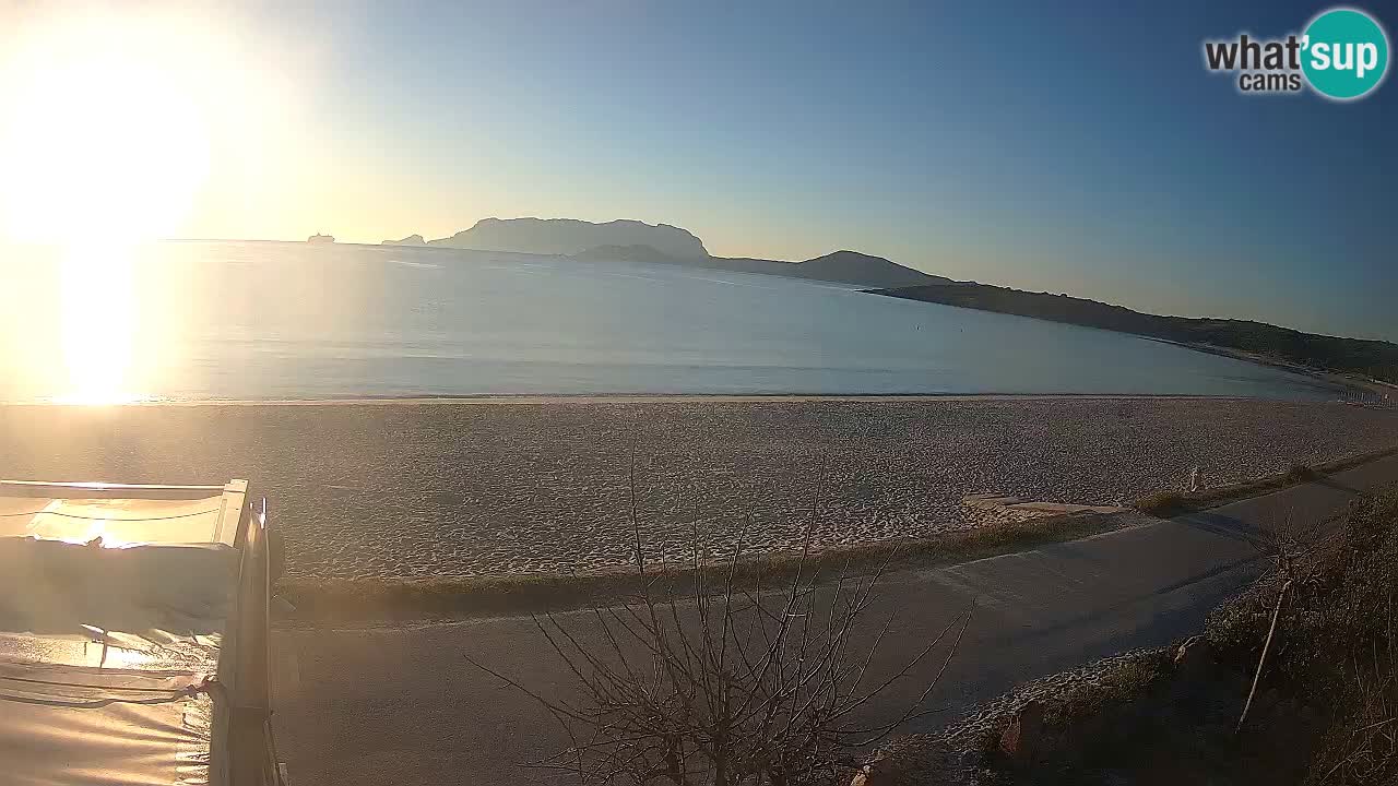 Der Strand von Pittulongu Live-Webcam Olbia – Sardinien – Italien