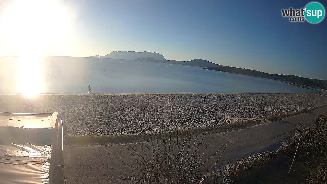 Plaža Pittulongu uživo web kamera Olbia – Sardinija – Italija