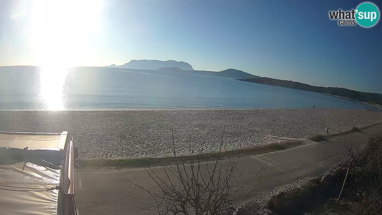 La webcam spiaggia Pittulongu vicino Olbia – Sardegna