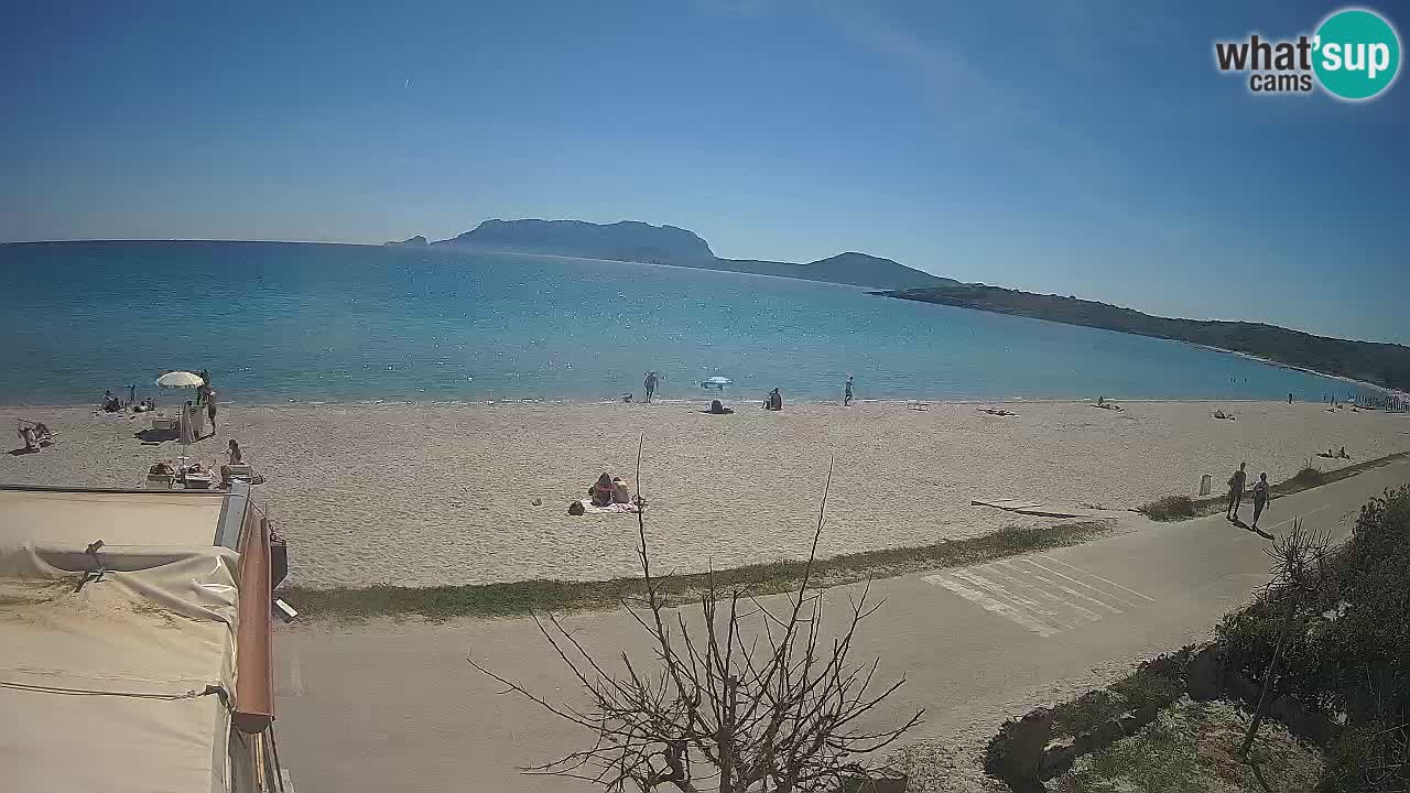 La plage de Pittulongu en direct webcam Olbia – Sardaigne – Italie