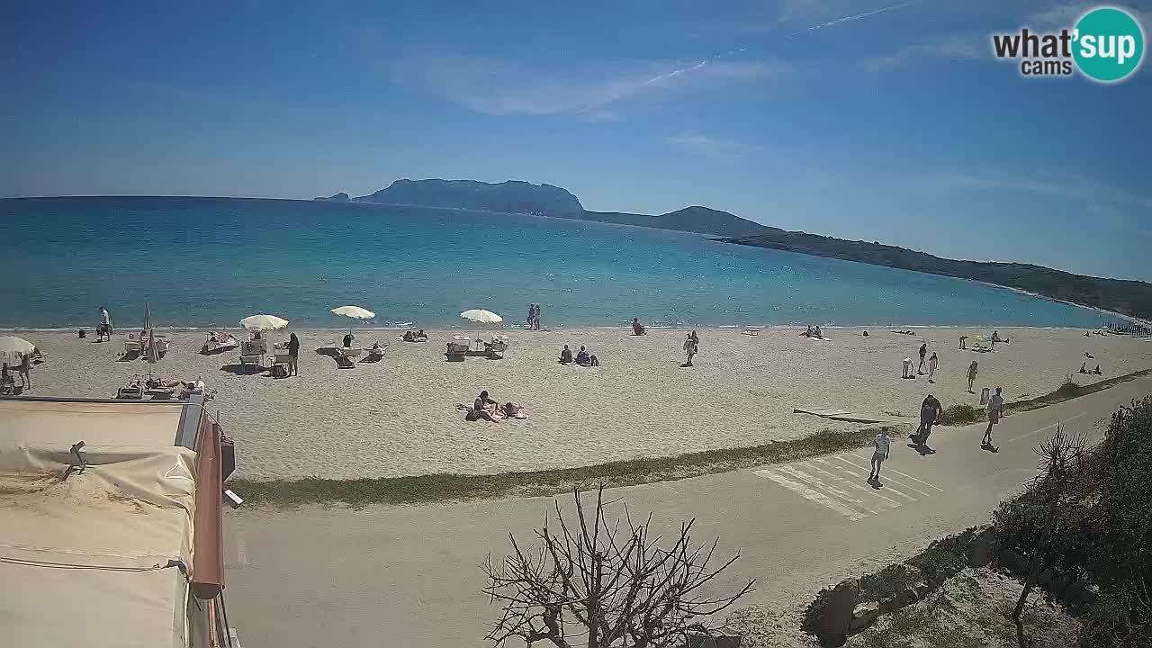 Der Strand von Pittulongu Live-Webcam Olbia – Sardinien – Italien