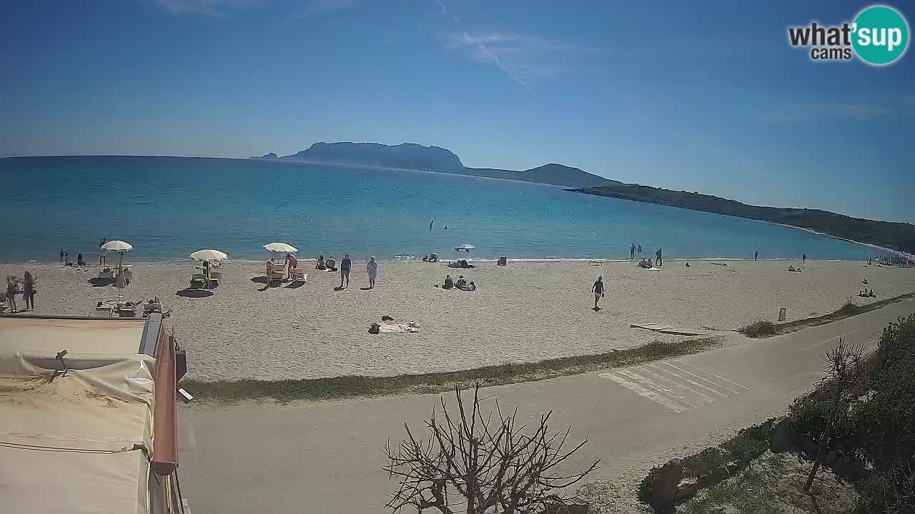 La webcam spiaggia Pittulongu vicino Olbia – Sardegna