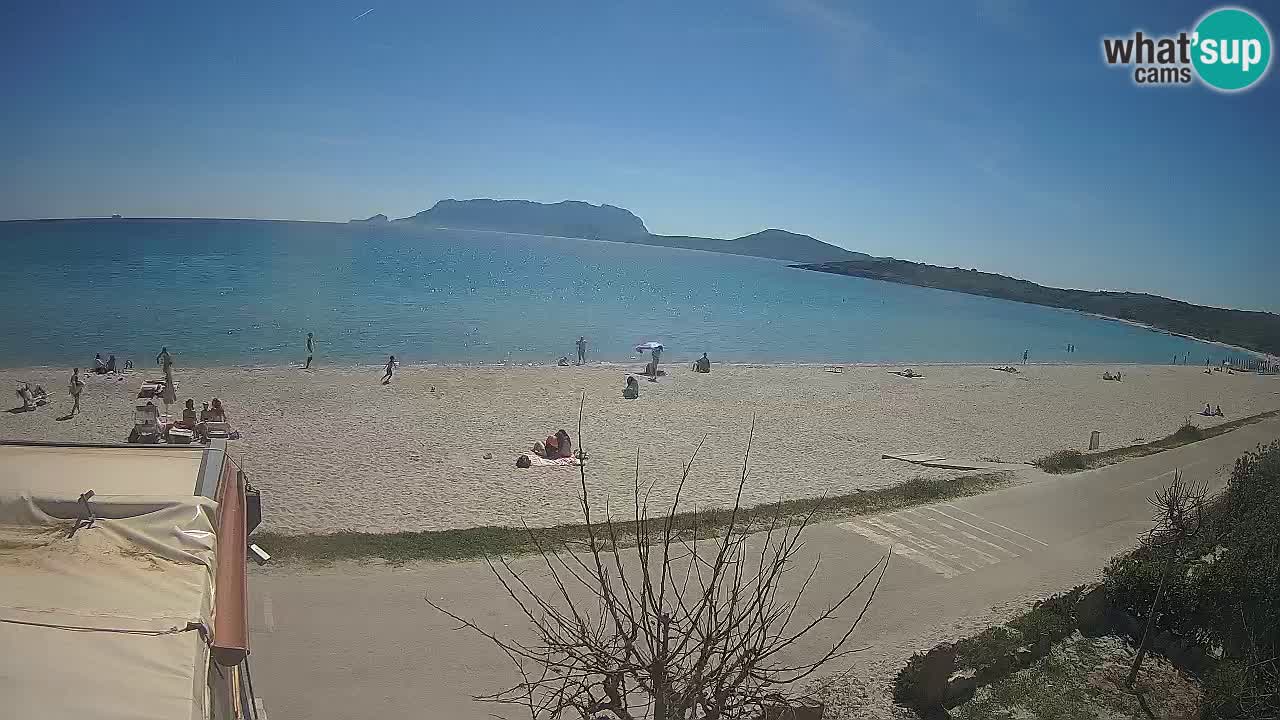 Der Strand von Pittulongu Live-Webcam Olbia – Sardinien – Italien