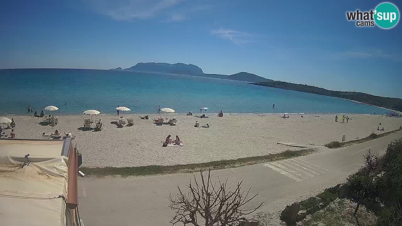 Plaža Pittulongu spletna kamera v živo Olbia – Sardinija – Italija