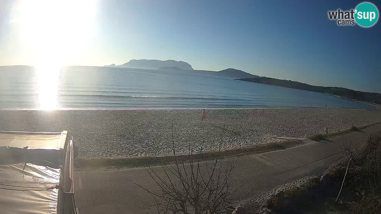 Plaža Pittulongu uživo web kamera Olbia – Sardinija – Italija