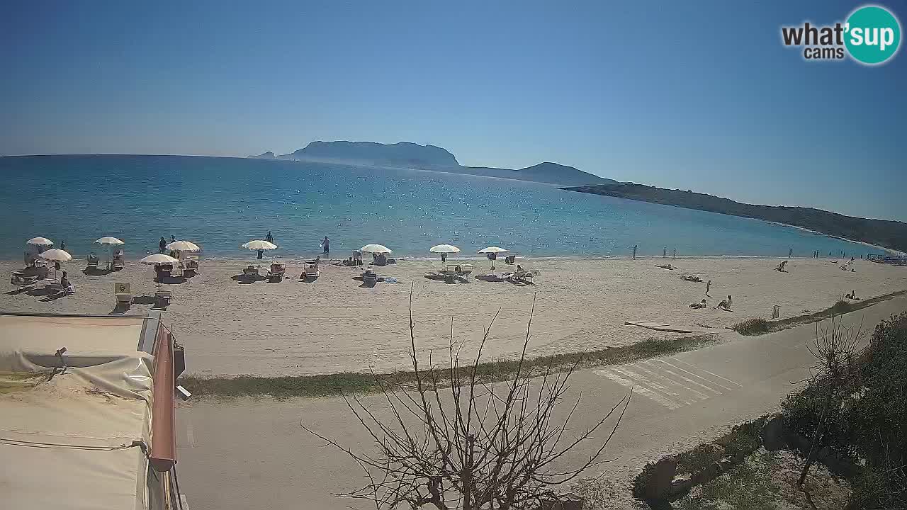 La playa de Pittulongu webcam en vivo Olbia – Cerdeña – Italia