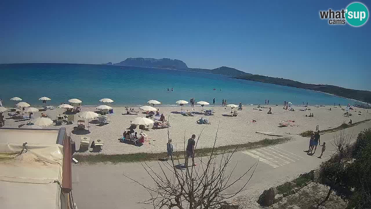 Der Strand von Pittulongu Live-Webcam Olbia – Sardinien – Italien