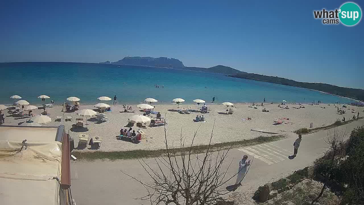La webcam spiaggia Pittulongu vicino Olbia – Sardegna