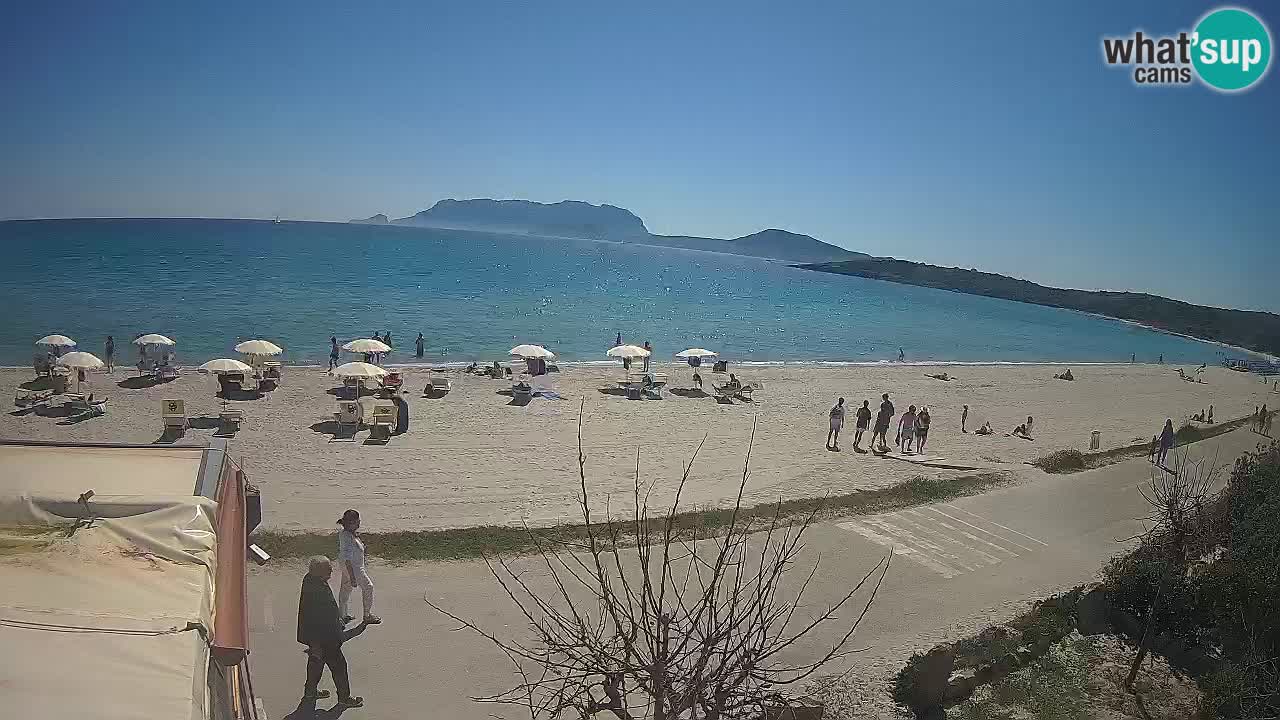 Der Strand von Pittulongu Live-Webcam Olbia – Sardinien – Italien