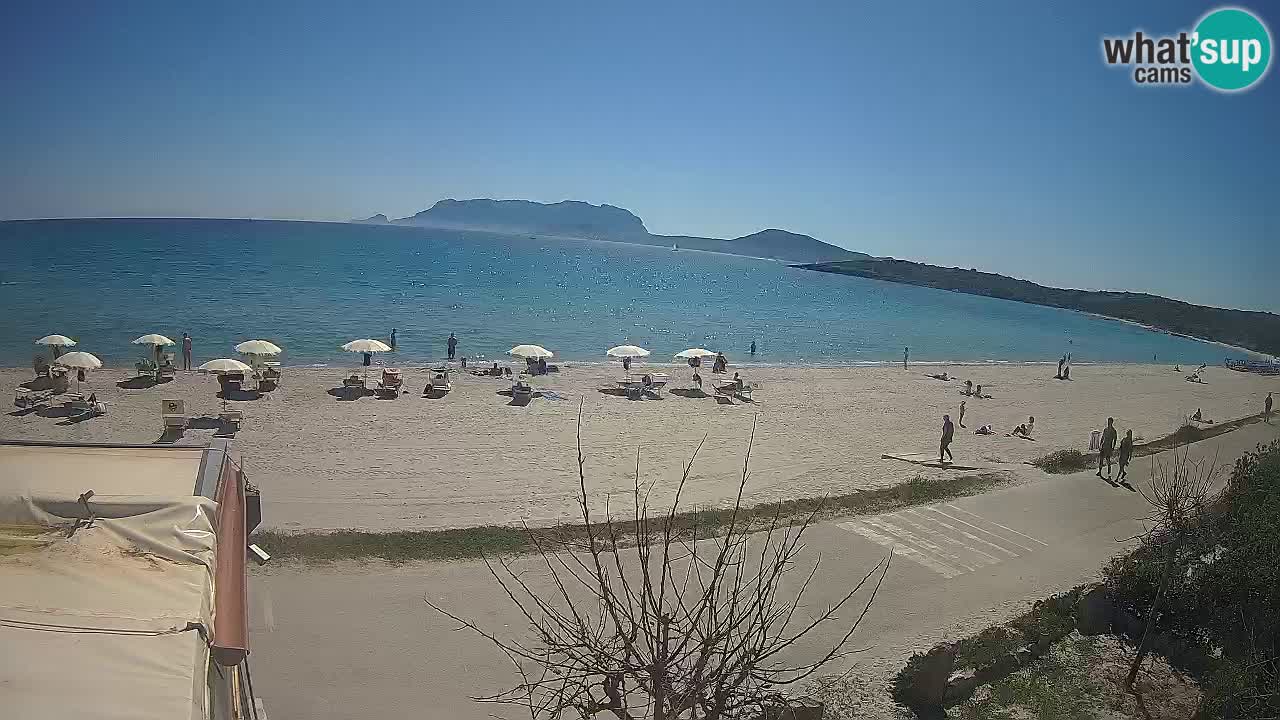 La webcam spiaggia Pittulongu vicino Olbia – Sardegna
