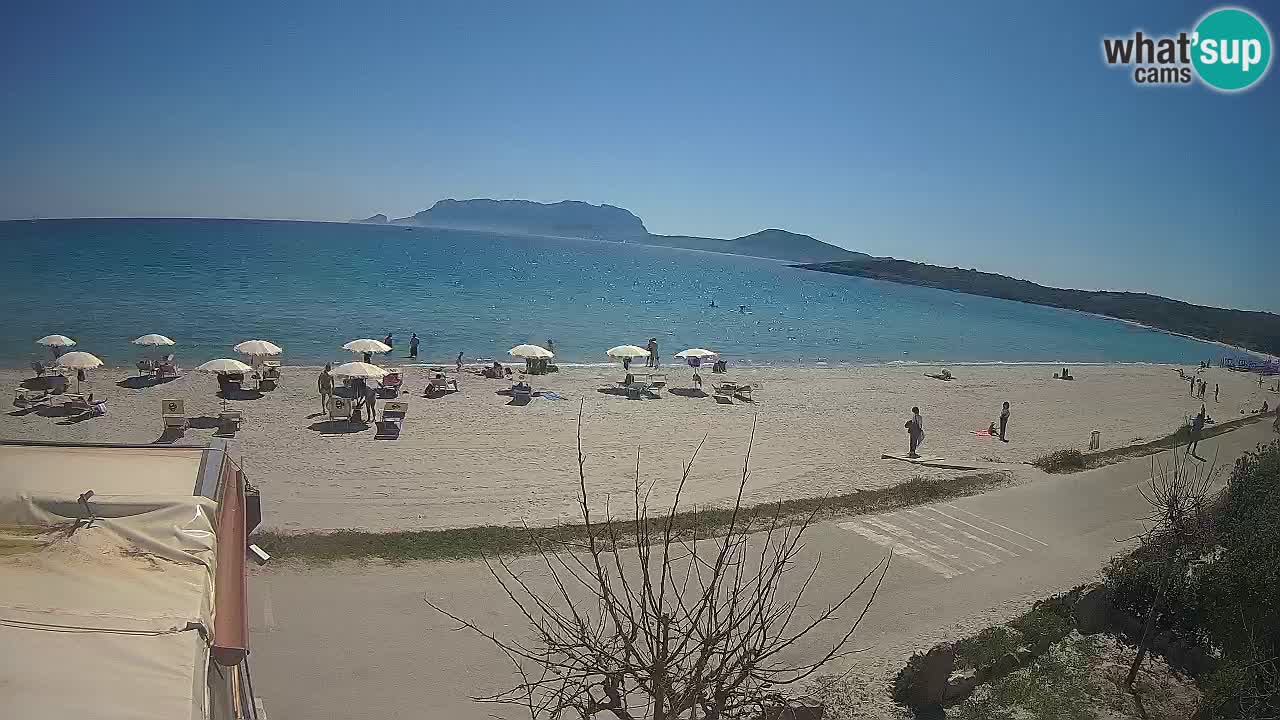 Der Strand von Pittulongu Live-Webcam Olbia – Sardinien – Italien