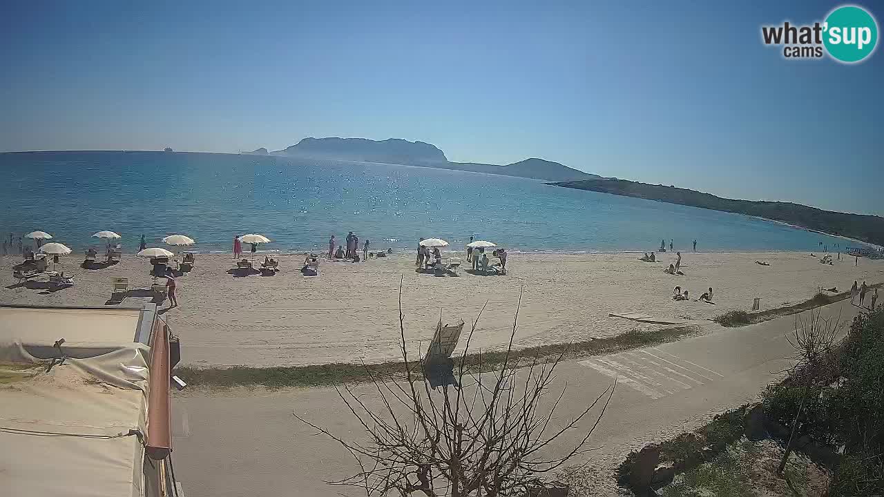 The beach of Pittulongu live webcam Olbia – Sardinia – Italy