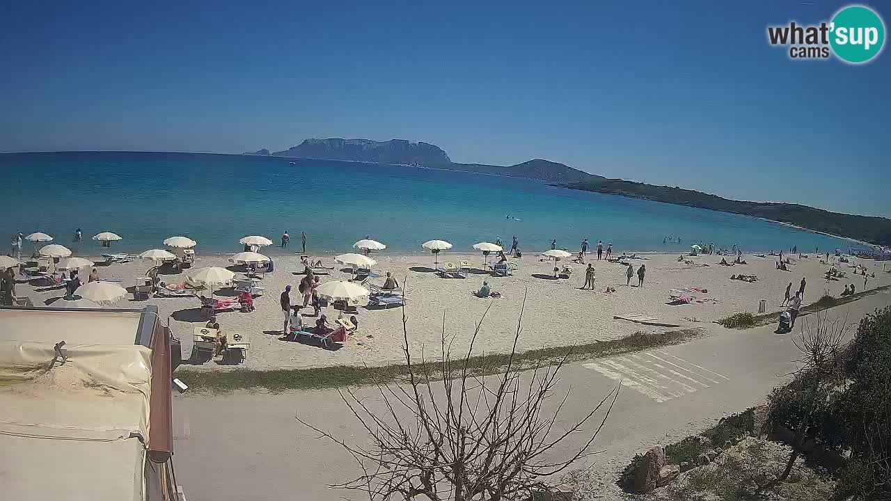 The beach of Pittulongu live webcam Olbia – Sardinia – Italy