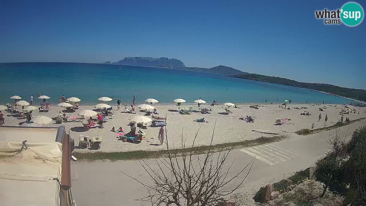 Der Strand von Pittulongu Live-Webcam Olbia – Sardinien – Italien