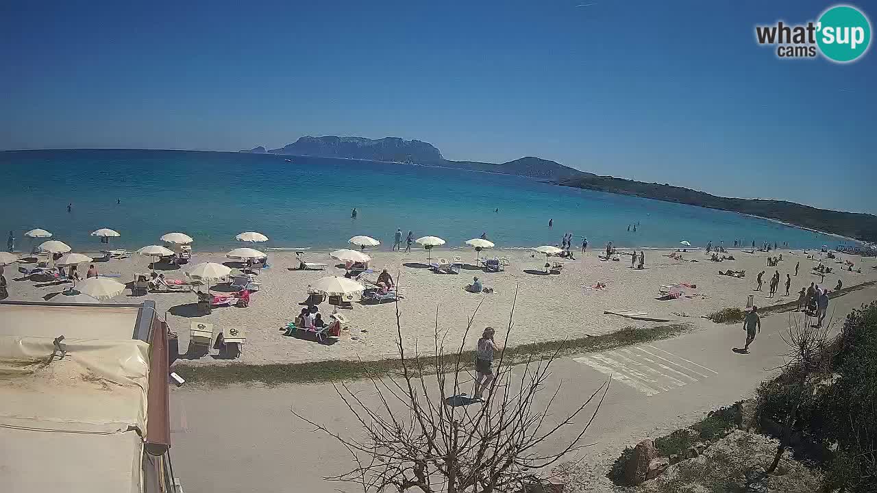 Plaža Pittulongu uživo web kamera Olbia – Sardinija – Italija
