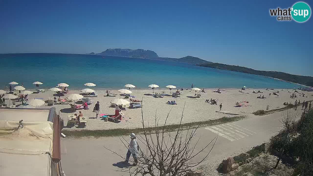 The beach of Pittulongu live webcam Olbia – Sardinia – Italy