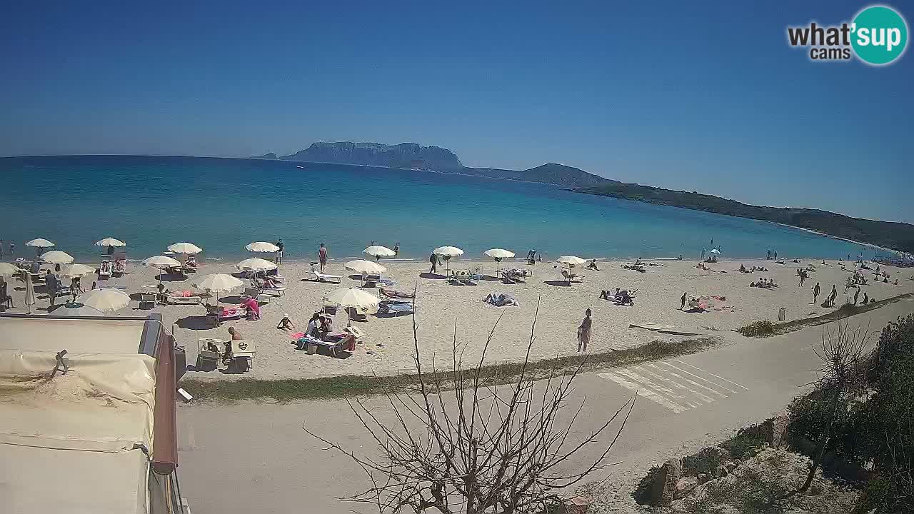 La plage de Pittulongu en direct webcam Olbia – Sardaigne – Italie