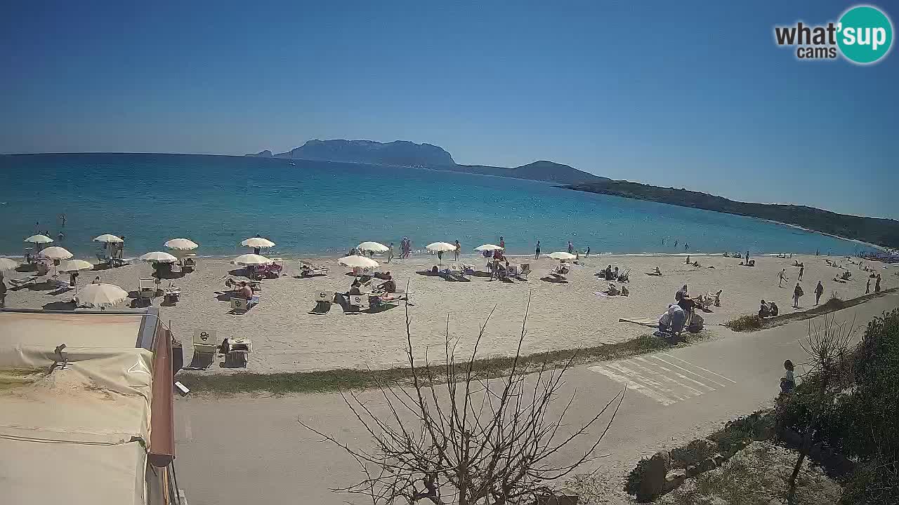 La plage de Pittulongu en direct webcam Olbia – Sardaigne – Italie