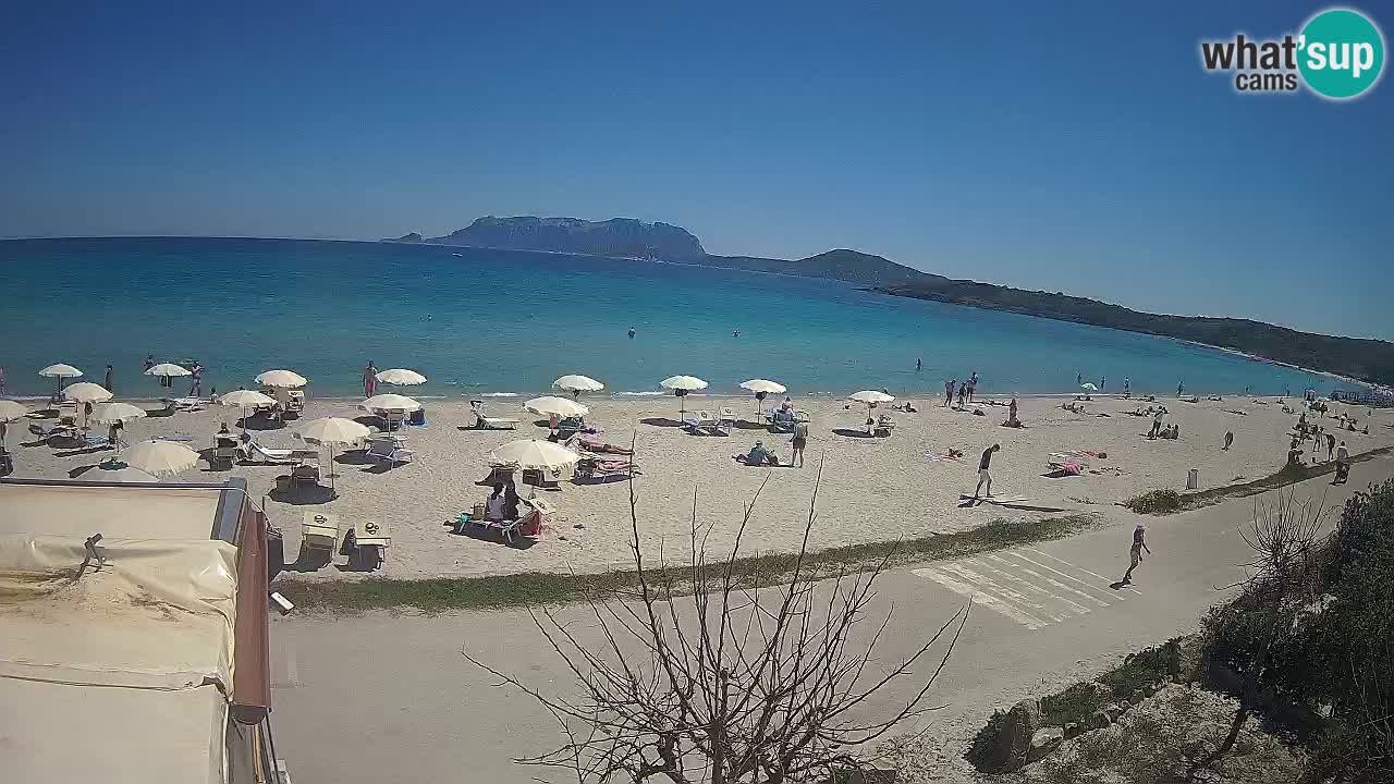 La webcam spiaggia Pittulongu vicino Olbia – Sardegna