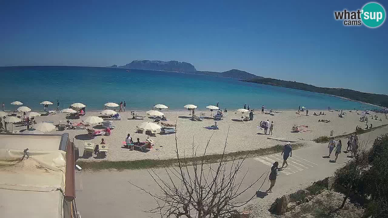 Der Strand von Pittulongu Live-Webcam Olbia – Sardinien – Italien
