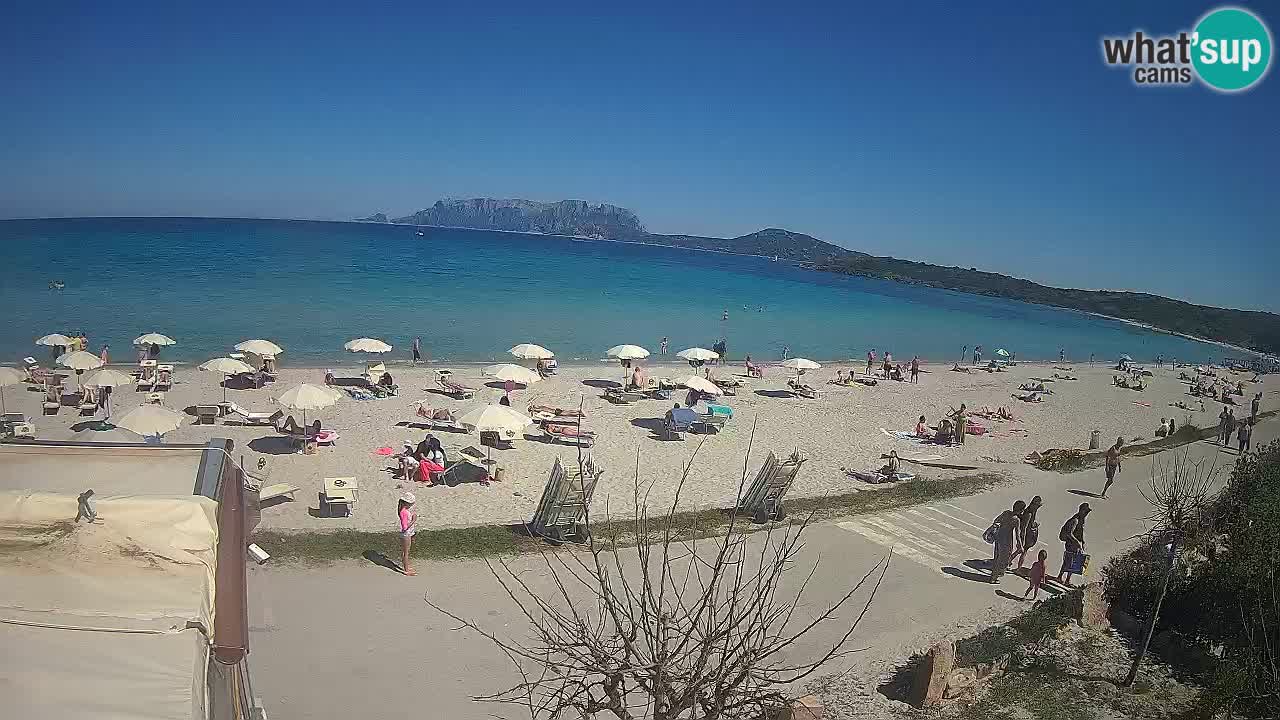 La plage de Pittulongu en direct webcam Olbia – Sardaigne – Italie