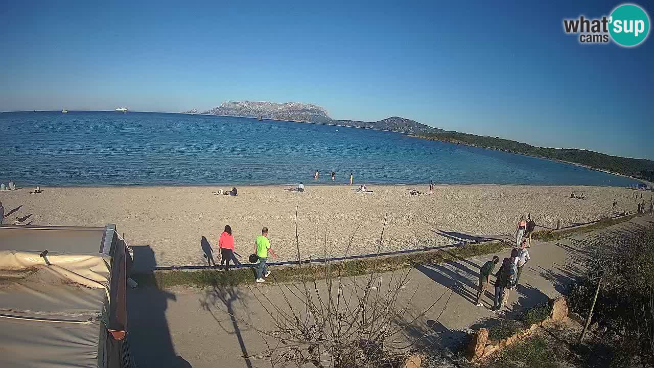 Plaža Pittulongu spletna kamera v živo Olbia – Sardinija – Italija