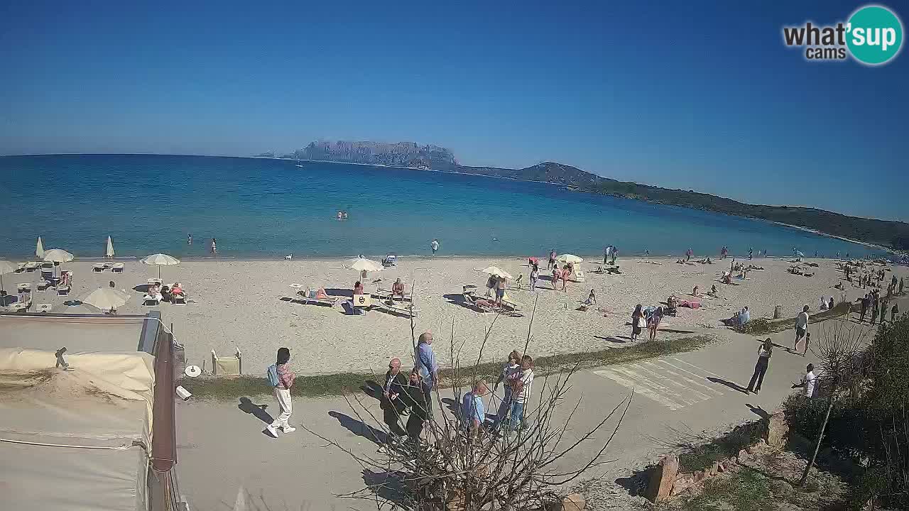 La playa de Pittulongu webcam en vivo Olbia – Cerdeña – Italia