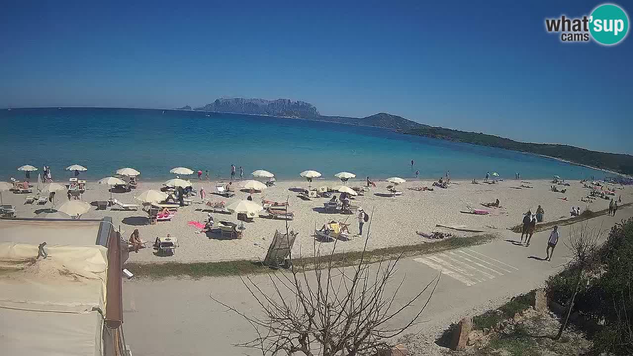 Plaža Pittulongu spletna kamera v živo Olbia – Sardinija – Italija