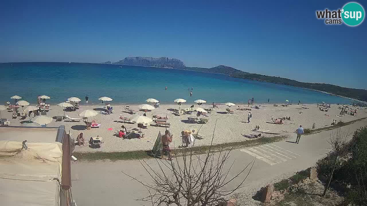 La playa de Pittulongu webcam en vivo Olbia – Cerdeña – Italia