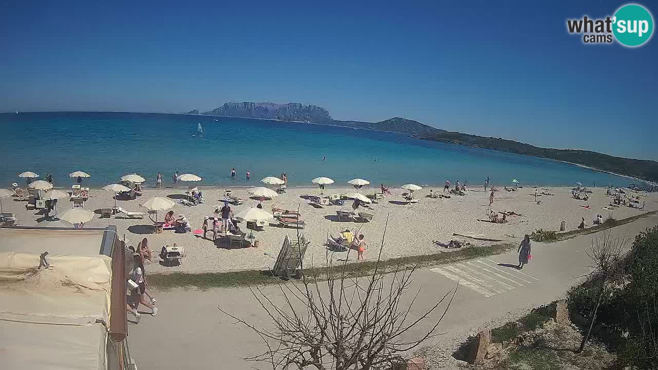 Der Strand von Pittulongu Live-Webcam Olbia – Sardinien – Italien