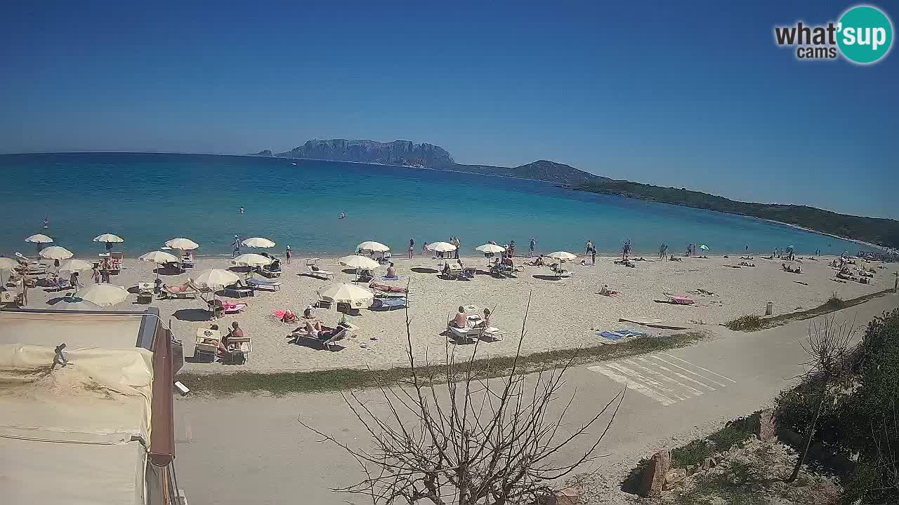 The beach of Pittulongu live webcam Olbia – Sardinia – Italy