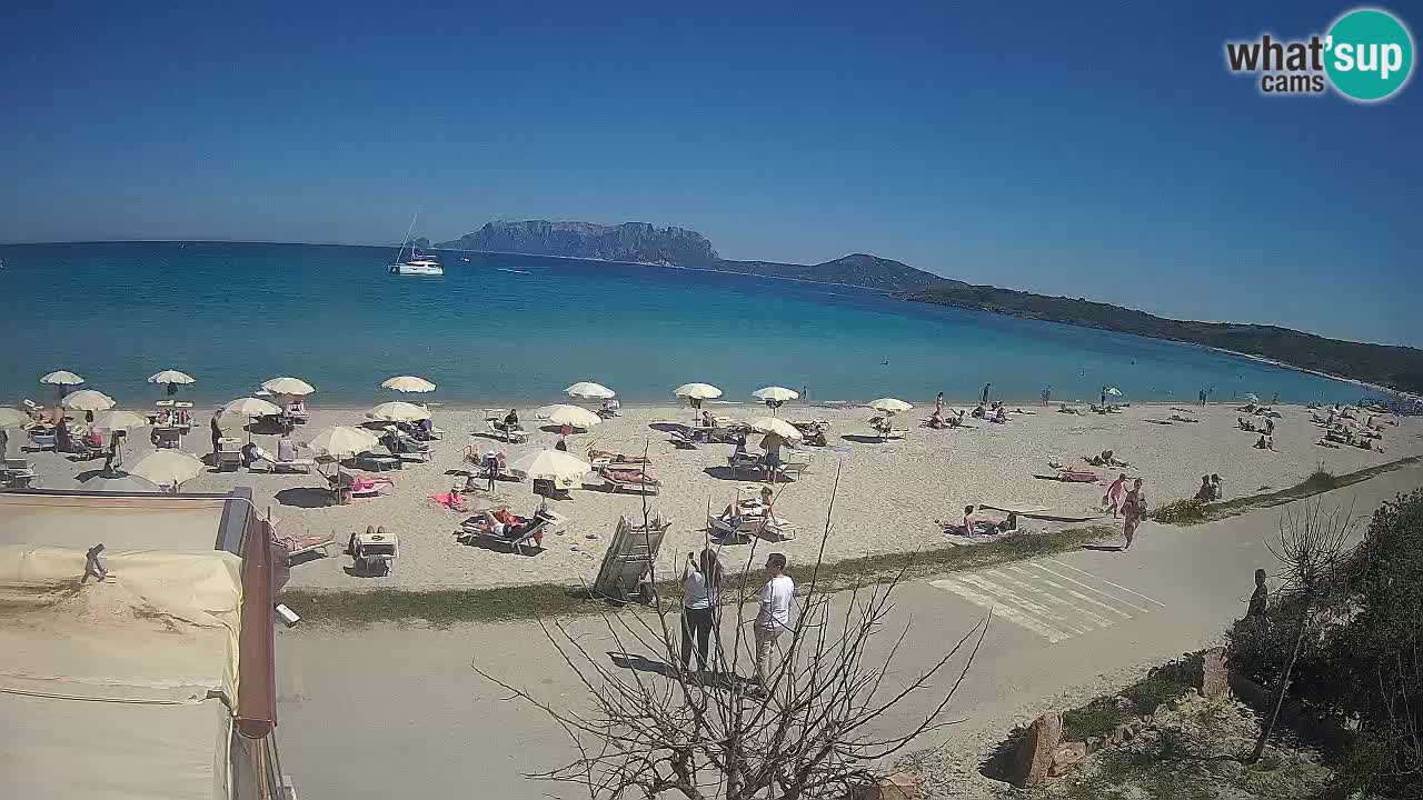 Plaža Pittulongu spletna kamera v živo Olbia – Sardinija – Italija