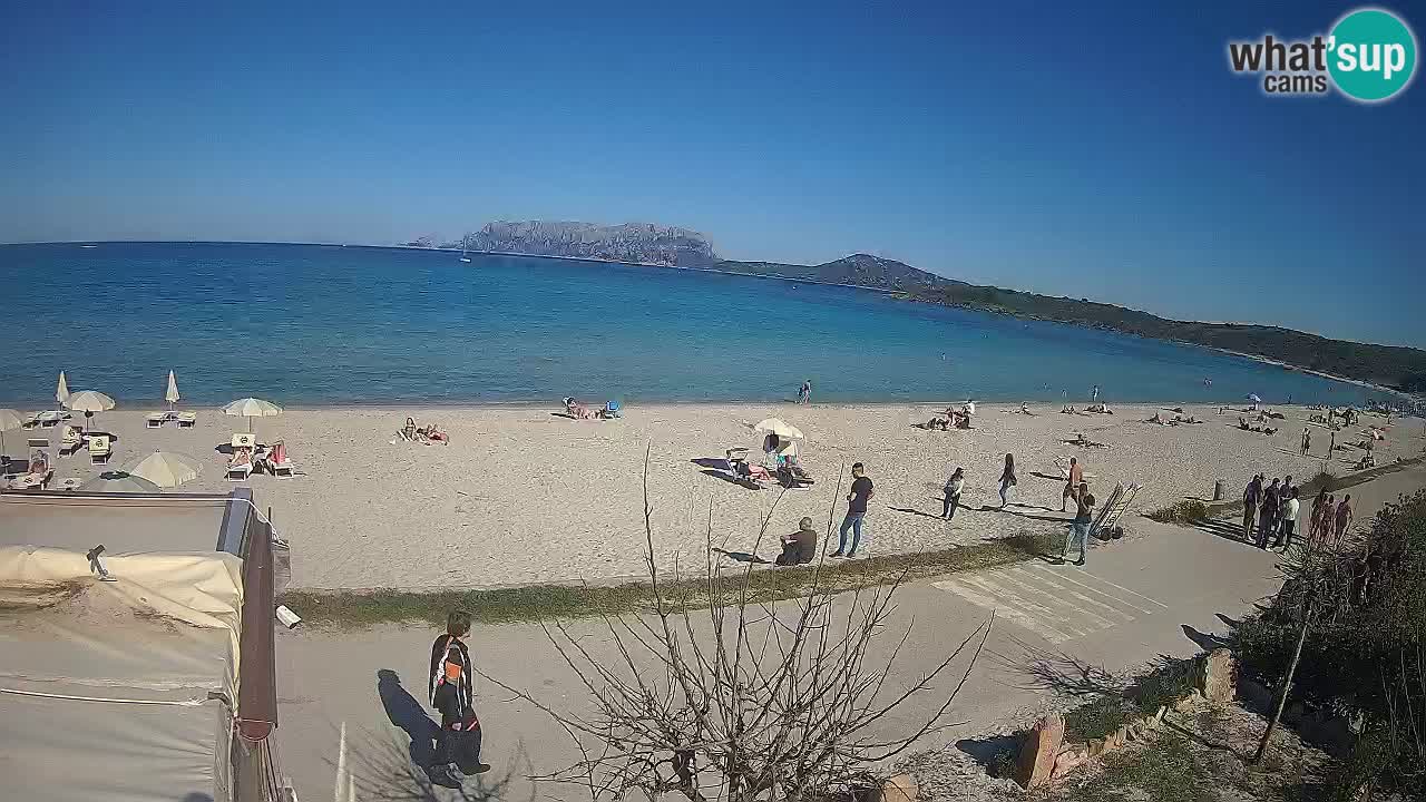 Plaža Pittulongu uživo web kamera Olbia – Sardinija – Italija
