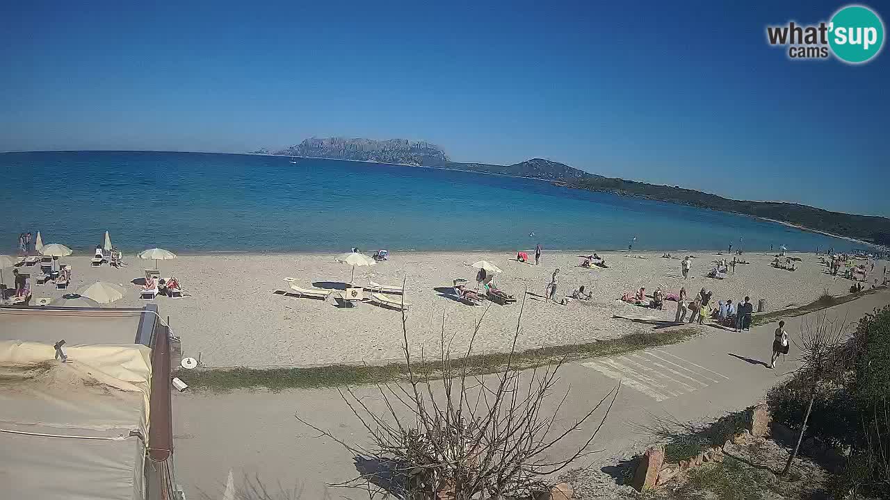 Plaža Pittulongu uživo web kamera Olbia – Sardinija – Italija