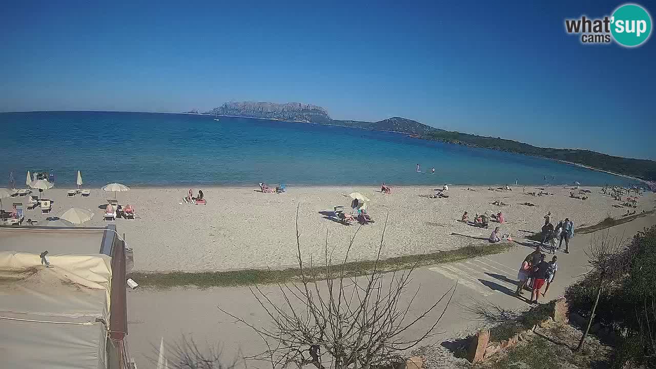 Der Strand von Pittulongu Live-Webcam Olbia – Sardinien – Italien