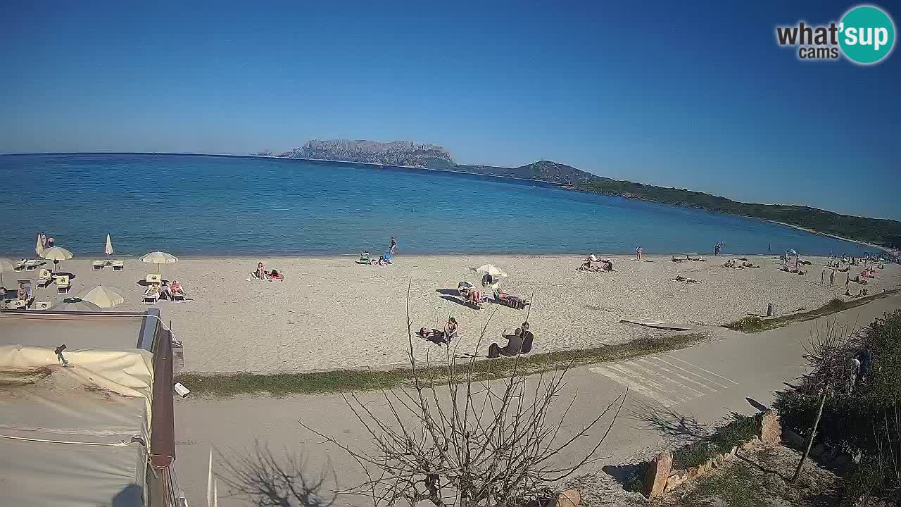 Der Strand von Pittulongu Live-Webcam Olbia – Sardinien – Italien