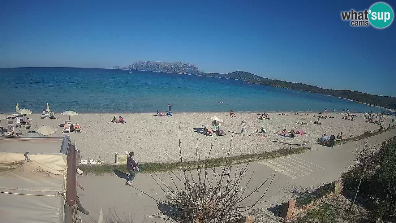 La webcam spiaggia Pittulongu vicino Olbia – Sardegna