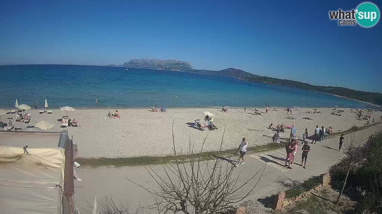 Plaža Pittulongu uživo web kamera Olbia – Sardinija – Italija