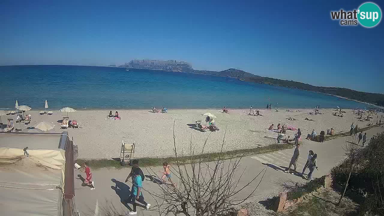 La webcam spiaggia Pittulongu vicino Olbia – Sardegna
